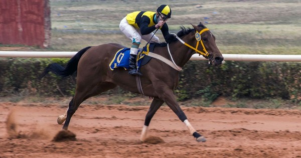 La Nación / Hoy vibran en el Jockey Club