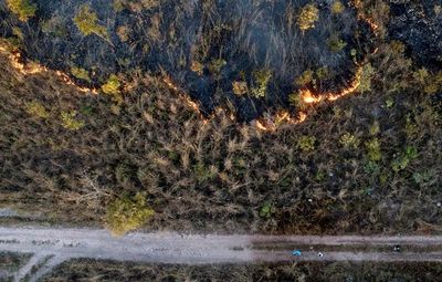Establecen planes de mitigación del cambio climático - Nacionales - ABC Color