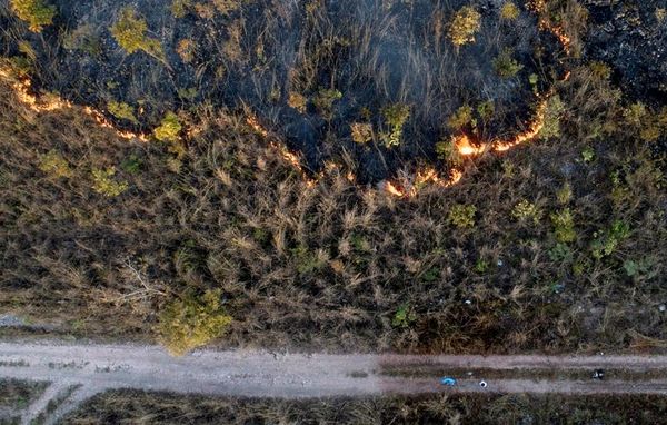 Establecen planes de mitigación del cambio climático - Nacionales - ABC Color
