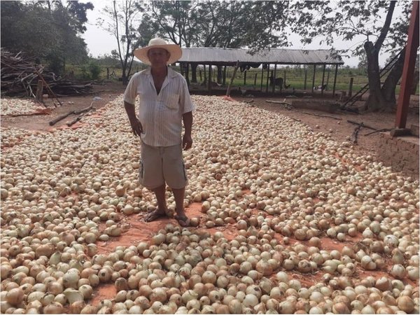 Revolución productiva en marcha en la Tierra de los Tres Reyes Magos