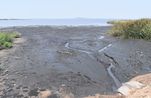 Humedales del lago Ypacaraí y el río Salado están en una situación crítica - Nacionales - ABC Color