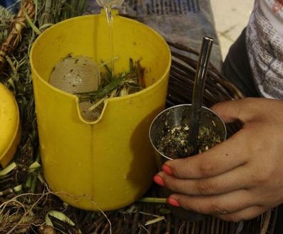 Hoy se celebra el Día Nacional de la Yerba Mate