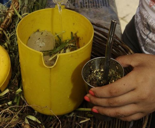 Hoy se celebra el Día Nacional de la Yerba Mate