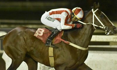 La historia del jockey paraguayo que es galardonado en Italia