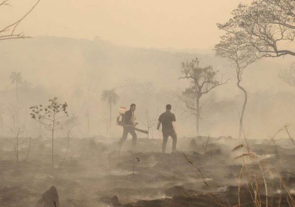 400 FOCOS Y 20.000 HECTÁREAS INCENDIADAS EN RESERVA SAN RAFAEL