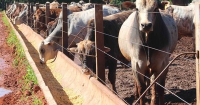 La Nación / Iragro registra caída del 38,5% en recaudaciones a setiembre