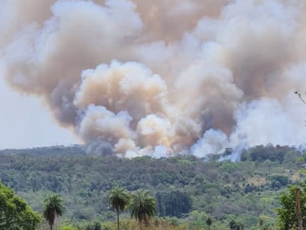 Quema de pastizal produce un grave incendio forestal en serranías de Altos