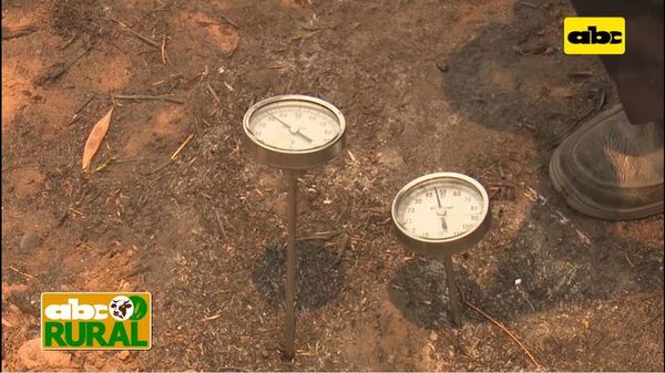 Abc Rural: Daño que causa la quema al suelo (II) - ABC Rural - ABC Color