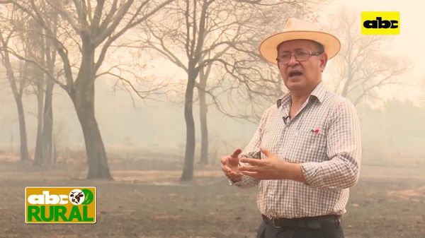 Abc Rural: Daño que causa la quema al suelo (I) - ABC Rural - ABC Color
