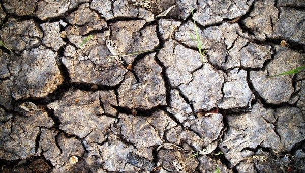 ¿Por qué tenemos una sequía interminable y cuál es el pronóstico para el futuro?