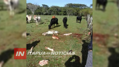 NUEVOS HECHOS DE ABIGEATO EN FRAM Y ENCARNACIÓN
