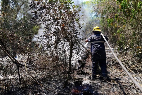 Trabajos para combatir incendios forestales continuaron el fin de semana · Radio Monumental 1080 AM