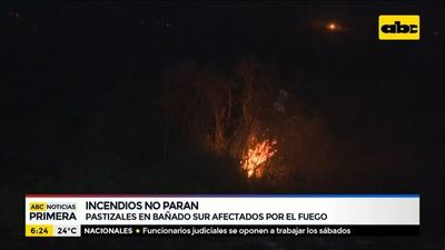 Pastizales del Bañado Sur, afectados por los incendios - ABC Noticias - ABC Color