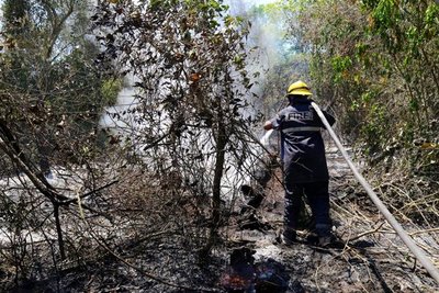 El peligro no pasó: Siguen los incendios provocados, lamentó el ministro de la SEN - ADN Paraguayo