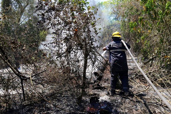 El peligro no pasó: Siguen los incendios provocados, lamentó el ministro de la SEN - ADN Paraguayo