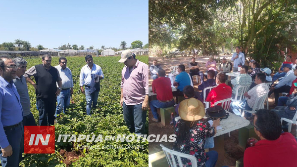 CAPACITAN A PRODUCTORES DE PAPA EN SAN PEDRO DEL PARANÁ