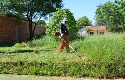 Comuna de Asunción advierte que multará a propietarios que no limpien terrenos vacíos