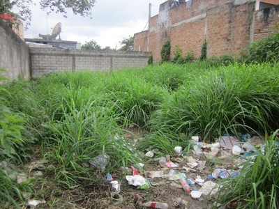 Comuna de Asunción multará a propietarios de terrenos baldíos sin limpieza