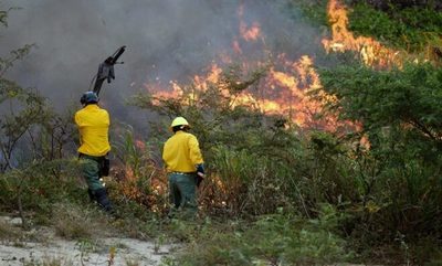 Pirómano desata incendio en Costanera y abre más sospechas sobre trasfondo
