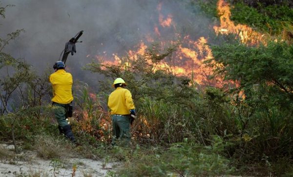 Pirómano desata incendio en Costanera y abre más sospechas sobre trasfondo