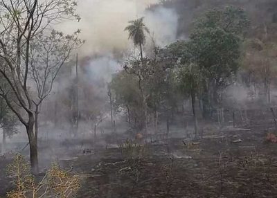 Bomberos y funcionarios de la SEN trabajan para sofocar los incendios en Caacupé » Ñanduti