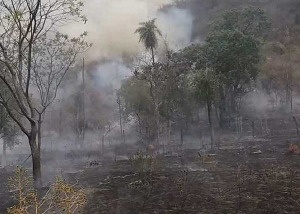 Bomberos y funcionarios de la SEN trabajan para sofocar los incendios en Caacupé » Ñanduti