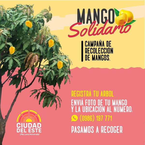 Lanzan campaña "Mango Solidario" - Noticde.com