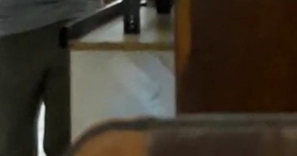 La Nación / Videos revelan maltrato de jueza a funcionarios del Poder Judicial