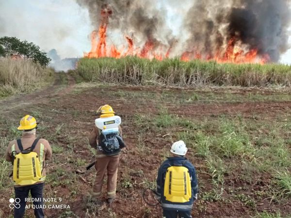 Incendio consume casi 100 has. de cañaverales y bosques en Piribebuy - Nacionales - ABC Color