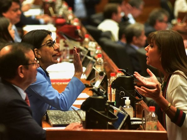 Los diputados analizan revocatoria de suspensión a Celeste Amarilla
