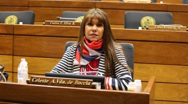 HOY / Con mayoría simple, hoy pueden revertir sanción a diputada Amarilla