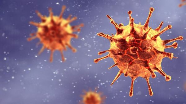 Coronavirus puede durar 28 días en billetes, cristales y monedas