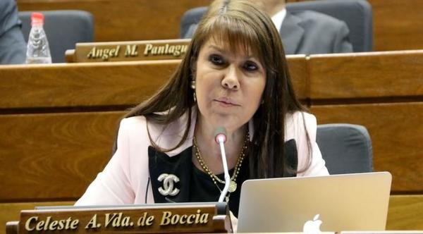 Podrían revertir sanción a la diputada Celeste Amarilla – Prensa 5