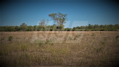 Filadelfia: Podría ser el año más seco desde 1932