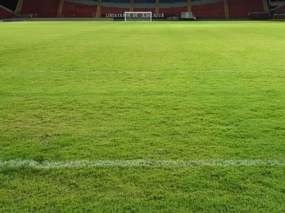 Las fotos de cómo luce el césped del Metropolitano - Fútbol - ABC Color
