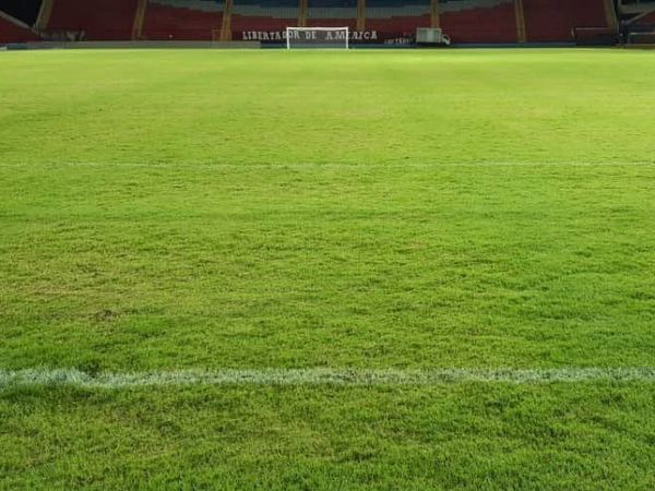 Las fotos de cómo luce el césped del Metropolitano - Fútbol - ABC Color