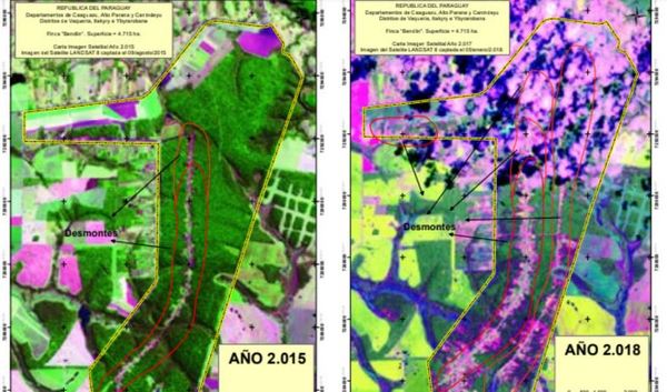 Estancia invadida tiene casi 1.200 hectáreas deforestadas, denuncia UGP