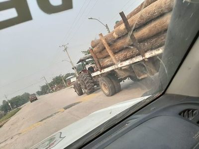 Imputan a supuestos infractores por delitos ambientales en el Chaco - Nacionales - ABC Color