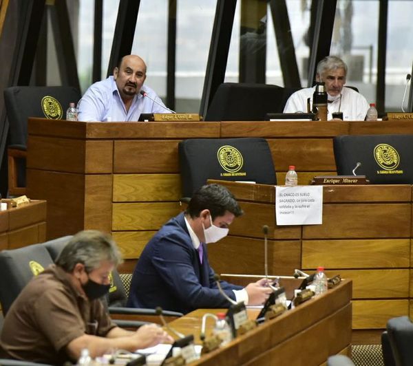 Colorados y liberales llanocartistas se mantienen y queda firme sanción contra diputada Amarilla - Nacionales - ABC Color