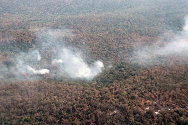 Parque Caazapá: Bomberos dejan la reserva forestal por falta de seguridad - Nacionales - ABC Color