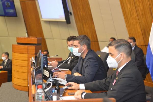 Diputados confirman sanción a Celeste Amarilla | OnLivePy