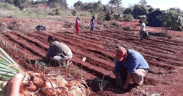 La Nación / Nativos de Acaraymi: “Sin lluvia y pozos con poca agua está difícil subsistir”