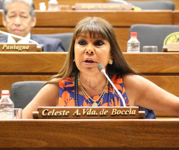 Diputados se ratifican y mantienen sanción contra Celeste Amarilla