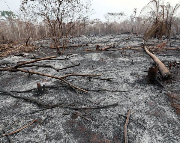 Incendios en Bolivia no paran y arrasan con 1,5 millones de hectáreas - Mundo - ABC Color