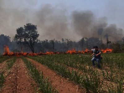 Incendios arrasan con bosques del Ybytyruzú y el Parque de Caazapá
