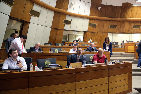 Para exparlamentarios la Cámara Baja está integrada por «diputados de la anarquía»