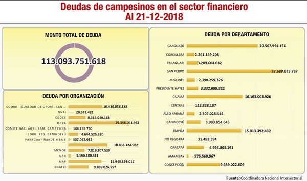 CNI recibió G. 34.655 millones y pide condonación por G. 113.000 millones - Nacionales - ABC Color