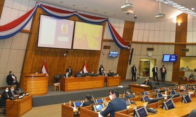 Debaten “deforestación cero” con organizaciones ambientalistas