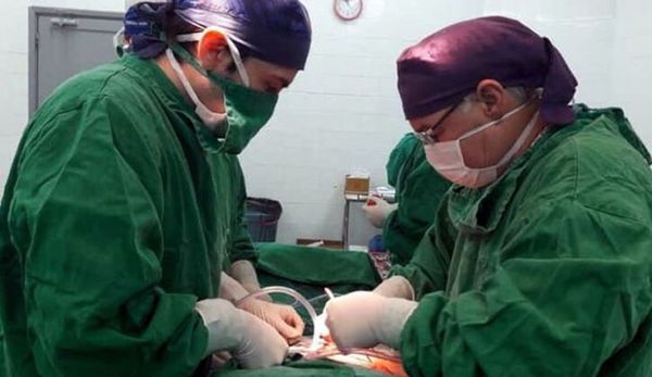 La donación de órganos y tejidos decayó 60% durante cuarentena