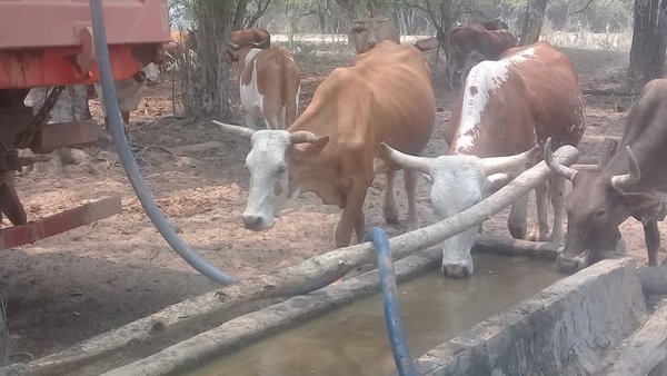 Alto Chaco: Funcionarios del MOPC distribuyeron agua potable en Sierra León